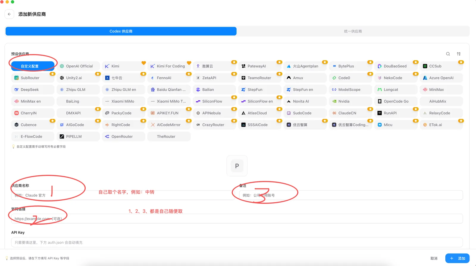 添加新供应商页面，选择自定义配置