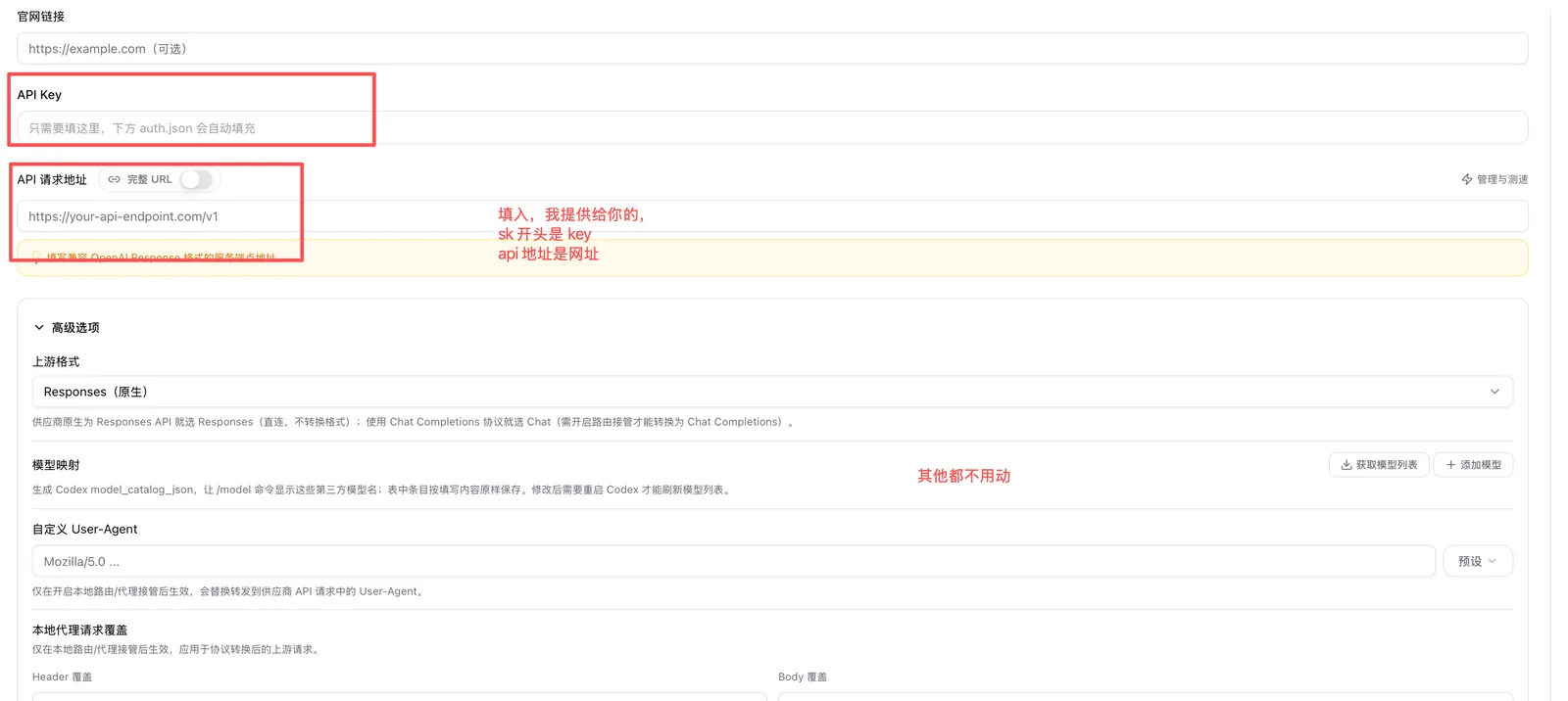 填写 API Key 和 API 请求地址