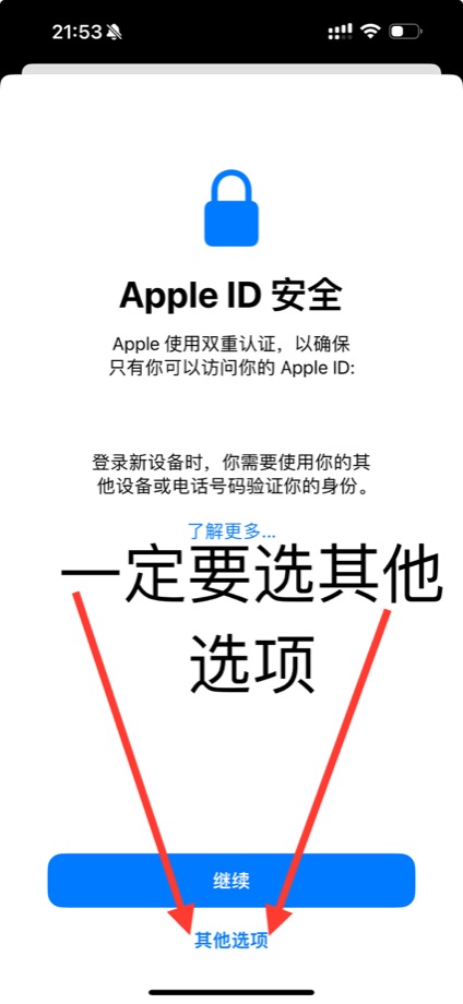 手机端第 5 步：安全提示选择“其他选项”